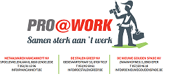 logo Pro @ Work